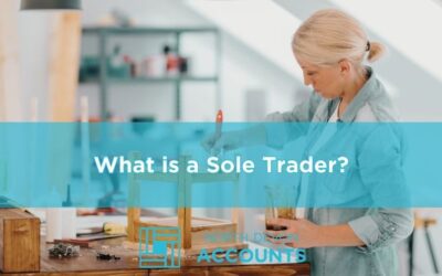 What is a sole trader?