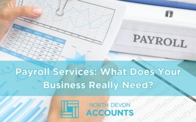 Payroll Services: What Does Your Business Really Need?